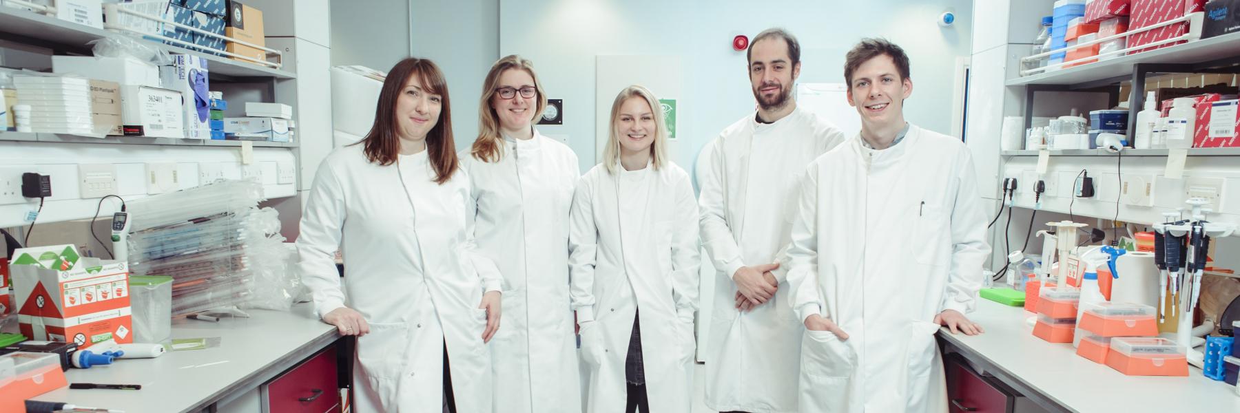 Equipo de trabajo